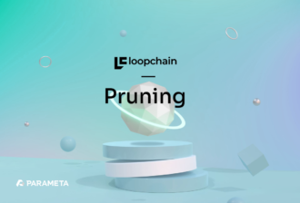 Pruning Technology in loopchain to Lighten Blockchain Nodes